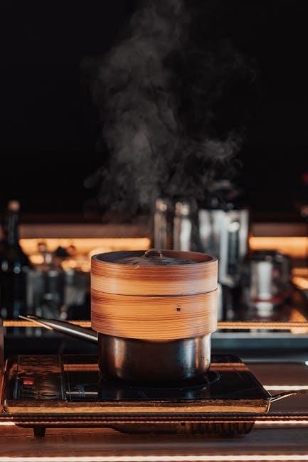 wolf steam oven manual